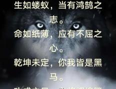 九游体育平台-狼队底蕴雄浑，提起伍尔夫汉普顿怅然若失的简单介绍