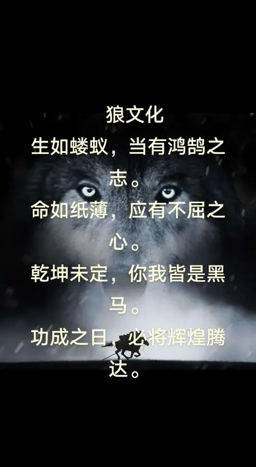 九游体育平台-狼队底蕴雄浑，提起伍尔夫汉普顿怅然若失的简单介绍